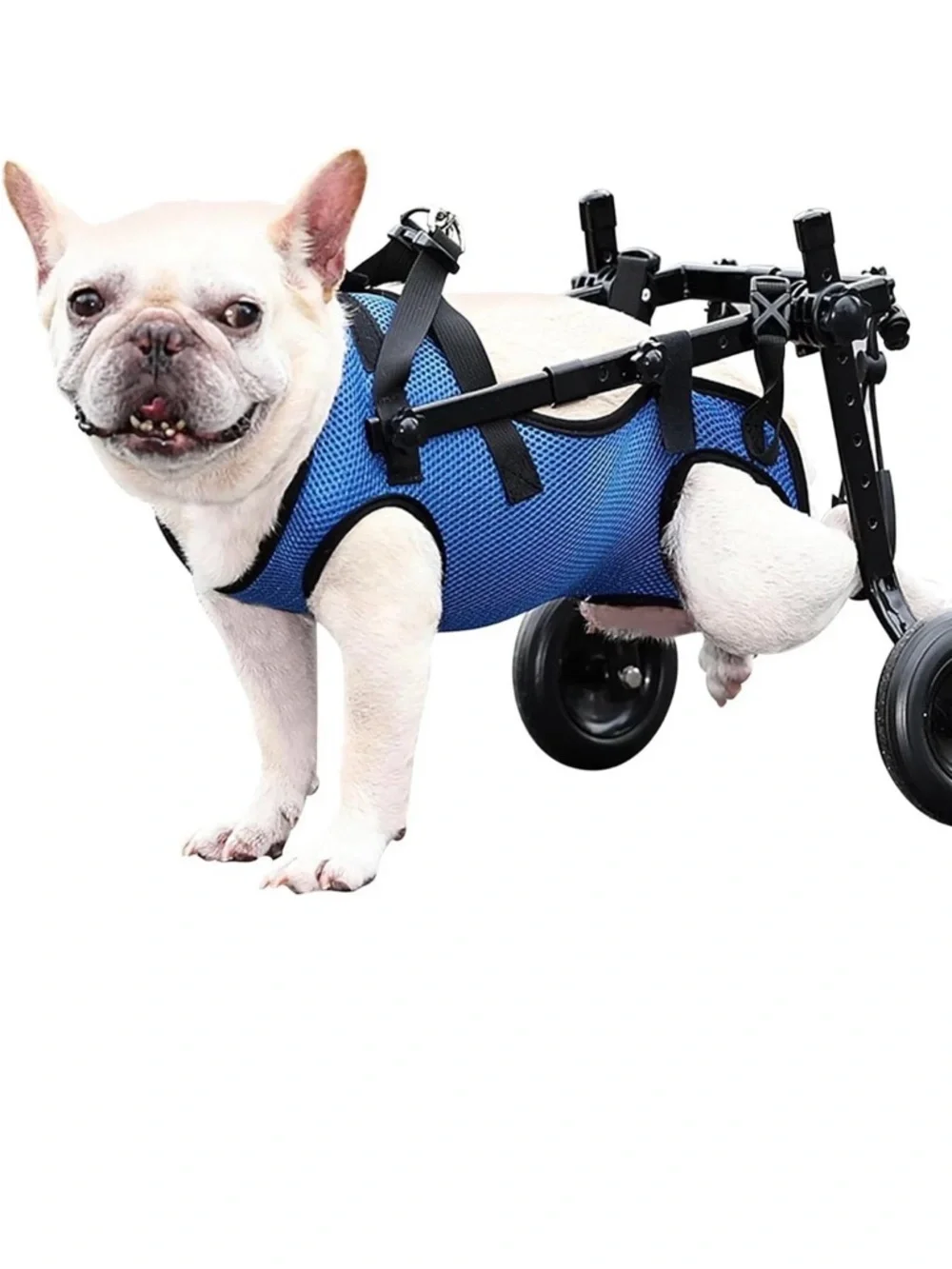 Dog wheelchair for small dogs for back legs